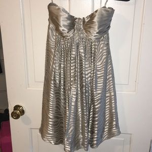 Express Silk Empire Waist Dress